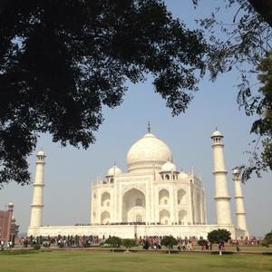 Meet your Posher, Sandy